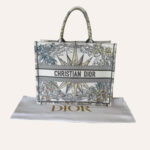 Christian Dior Book Tote Reve D'infini Embroidered Canvas